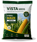 Hybrid Maize (Copy)
